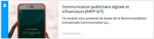 Communication publicitaire digitale et influenceurs - Module 6/7